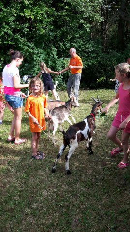 Sommer 2016 (9)